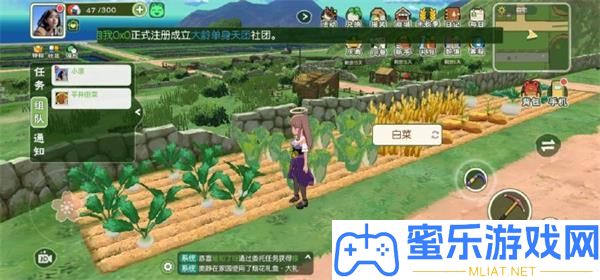 小森生涯組隊(duì)玩法攻略