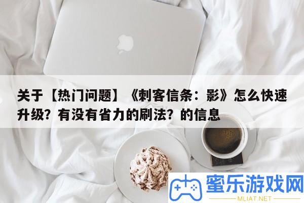 關于【搶手問題】《刺客信條